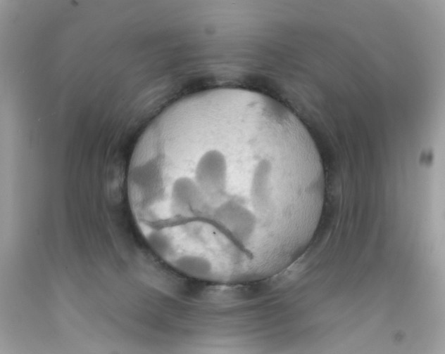 X0000091540082200709141504