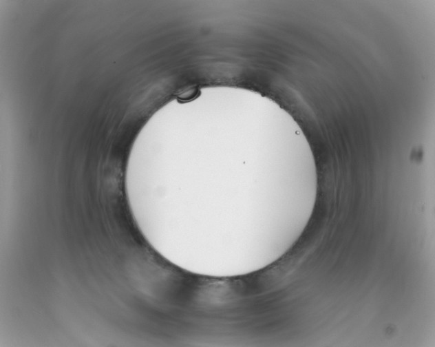 X0000091540083200709141504