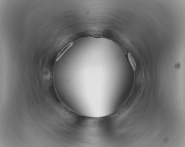 X0000091540084200709141504