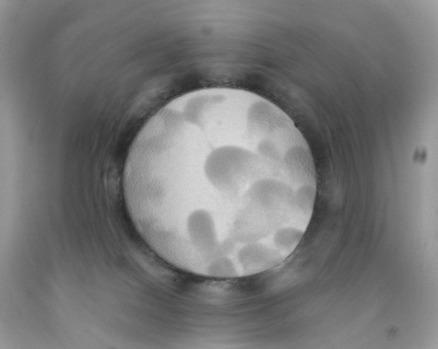 X0000091540086200709141504