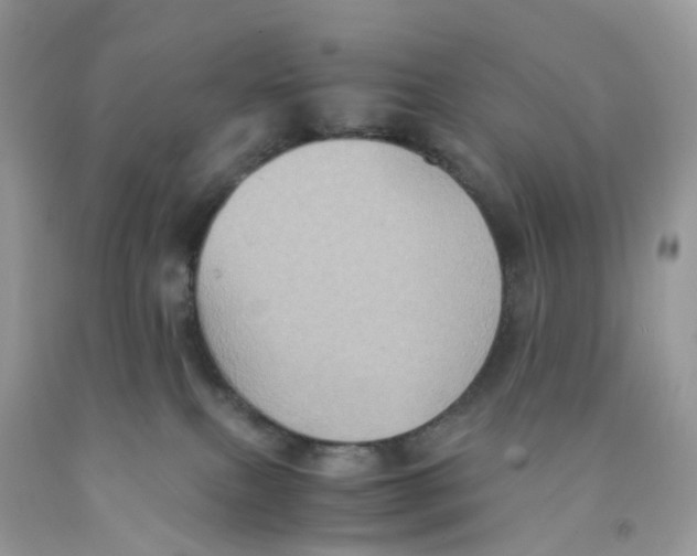 X0000091540087200709141504