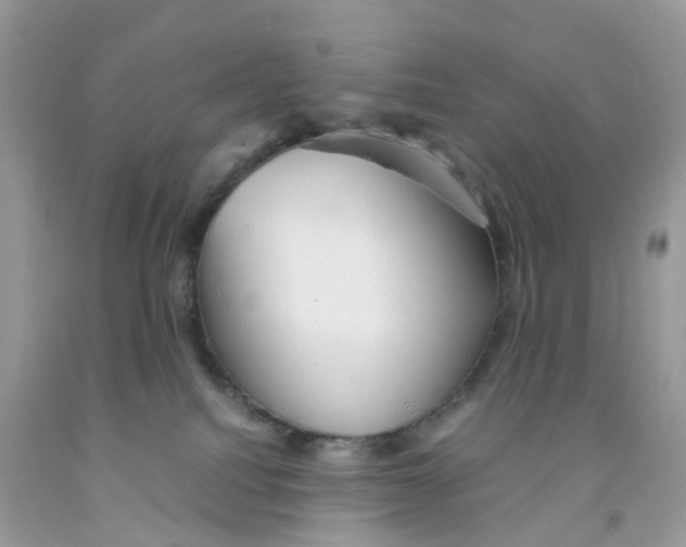 X0000091540088200709141504