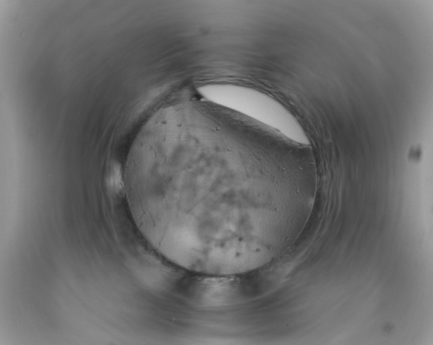 X0000091540089200709141504