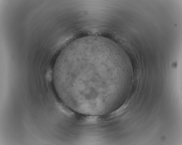 X0000091540090200709141504