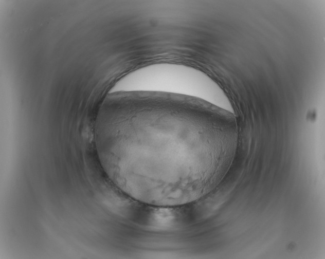 X0000091540091200709141504
