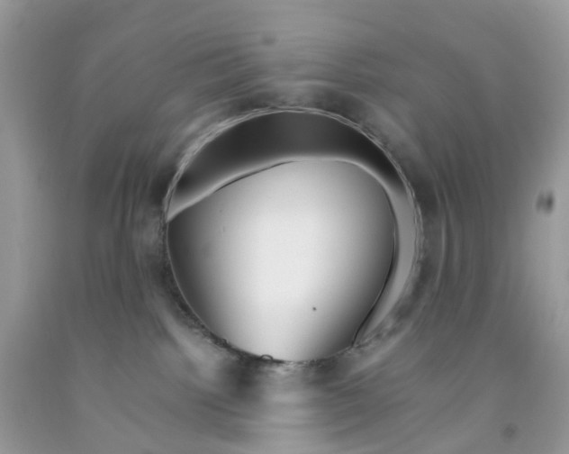 X0000091540092200709141504
