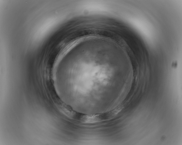 X0000091540093200709141504