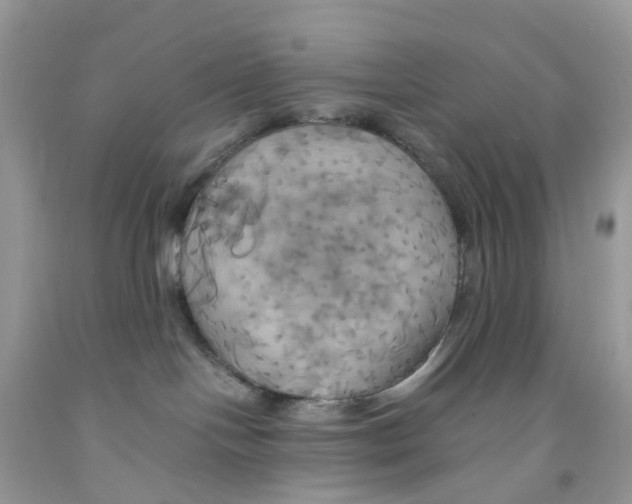 X0000091540094200709141504