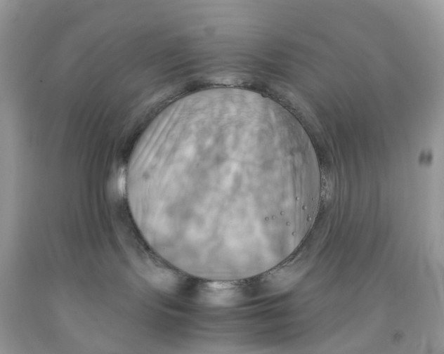 X0000091540095200709141504