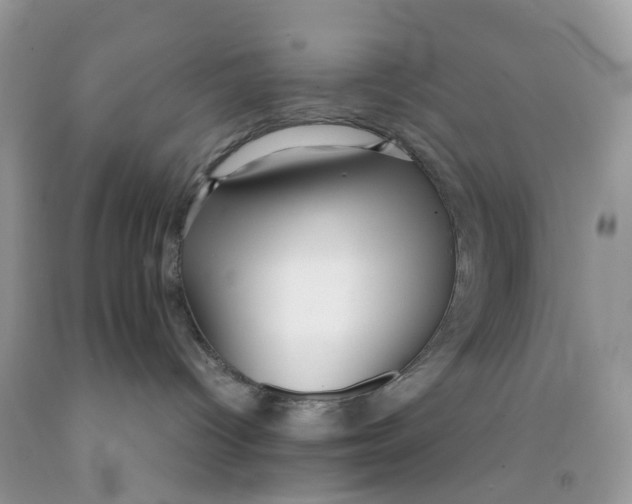 X0000091540096200709141504