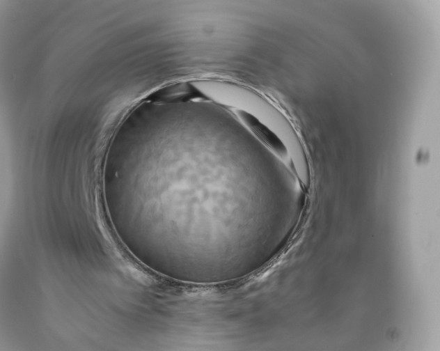 X0000091540097200709141504