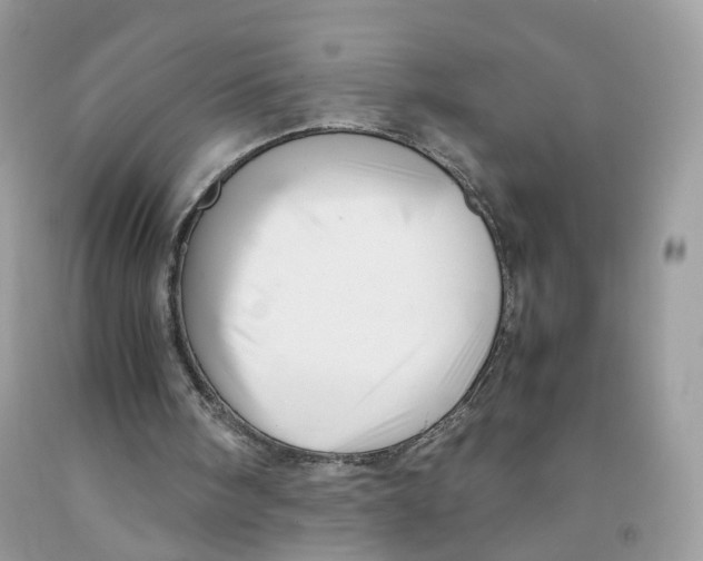X0000091540098200709141504