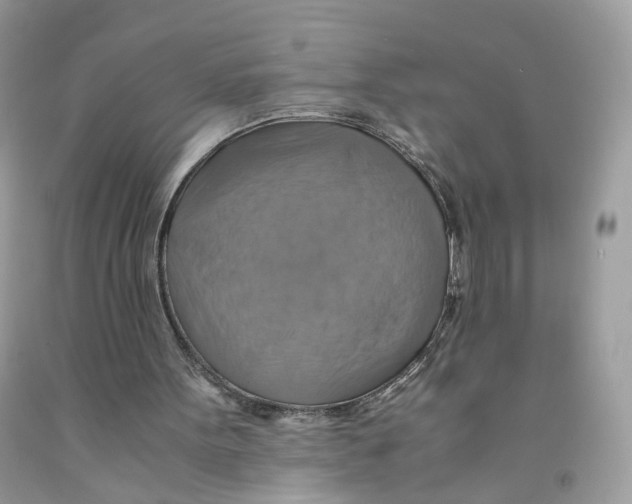 X0000091540099200709141504
