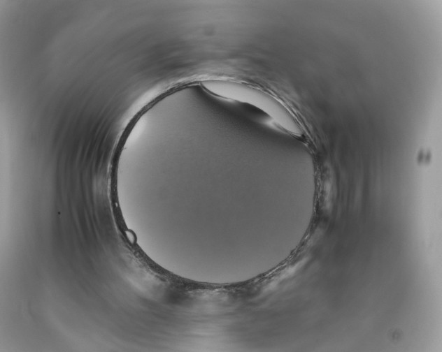 X0000091540100200709141503