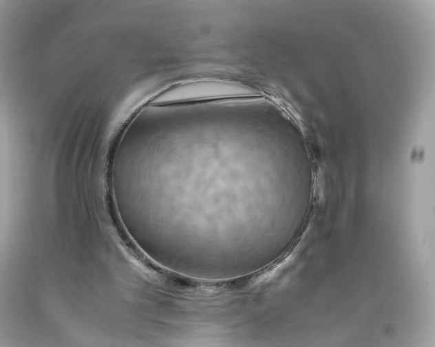 X0000091540101200709141503