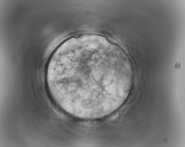 X0000091540103200709141503