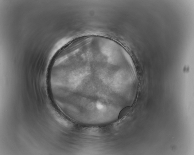 X0000091540104200709141503