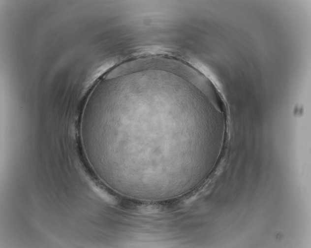 X0000091540105200709141503