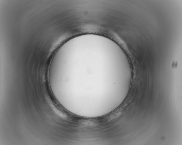 X0000091540106200709141503