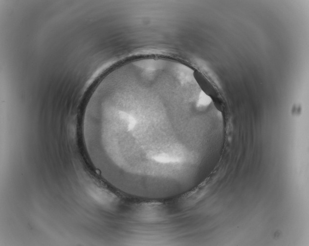 X0000091540108200709141503