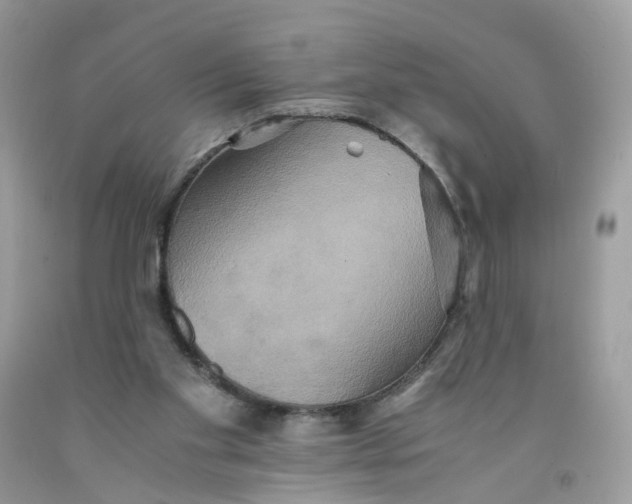X0000091540109200709141503