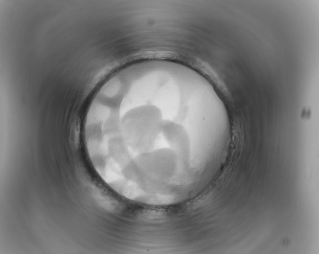 X0000091540110200709141503