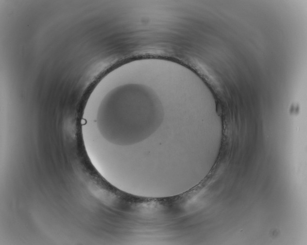 X0000091540112200709141503