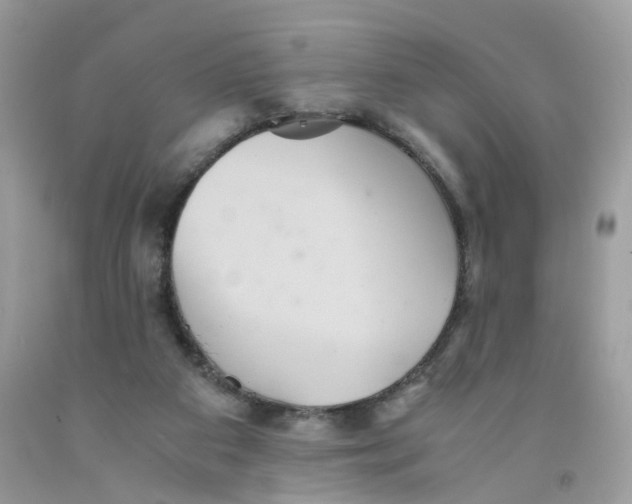 X0000091540113200709141503