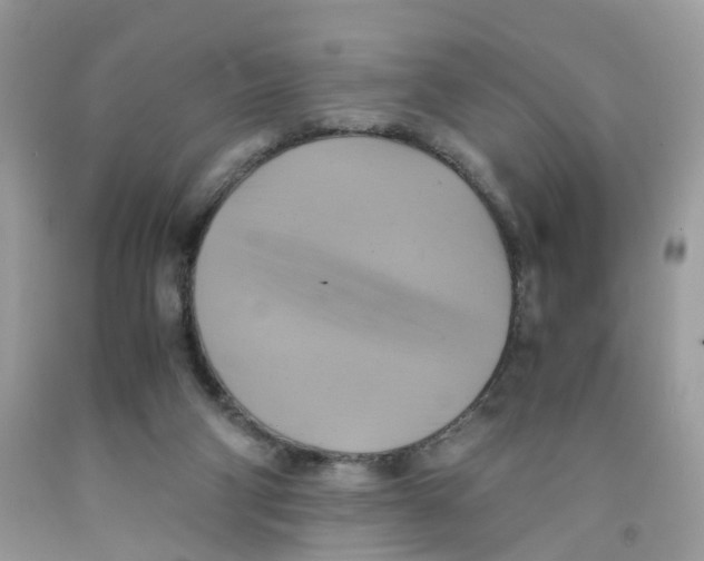 X0000091540114200709141503