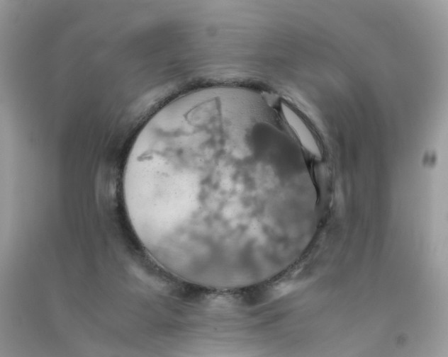 X0000091540115200709141503