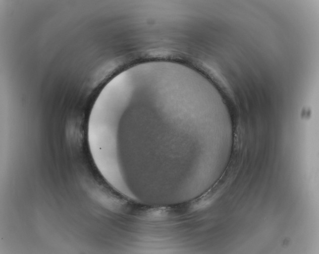 X0000091540116200709141503