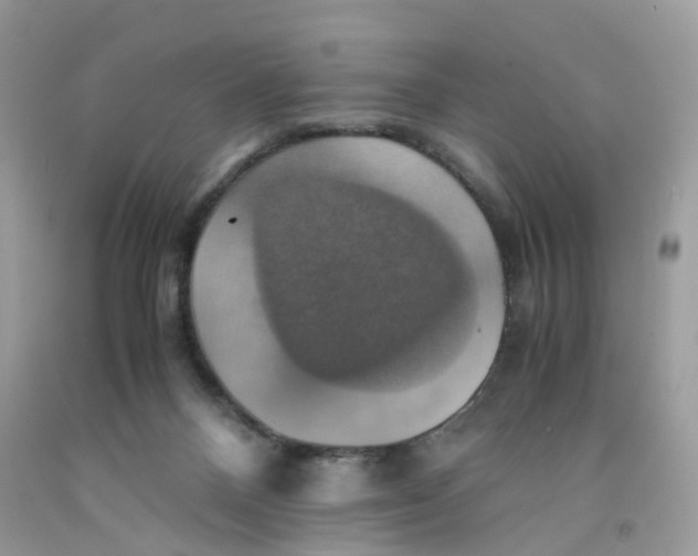 X0000091540120200709141503