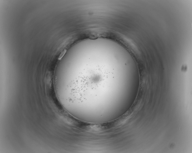 X0000091540121200709141503