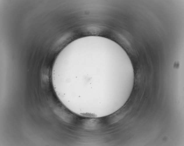 X0000091540122200709141503