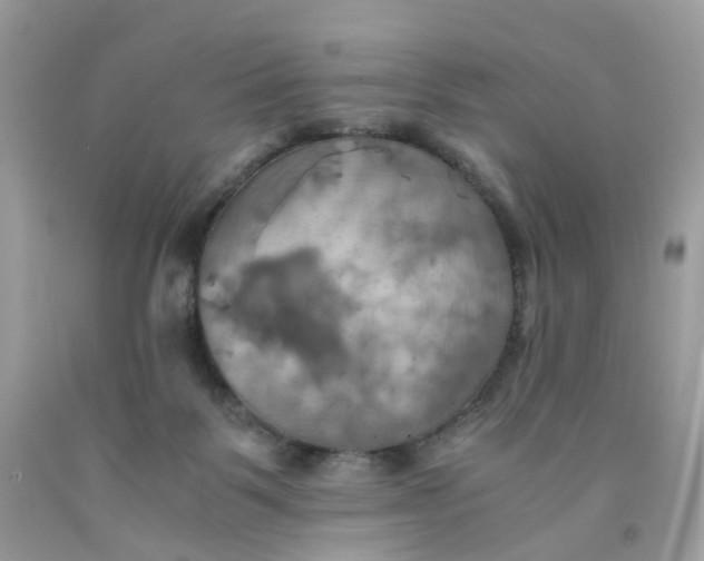 X0000091540123200709141503