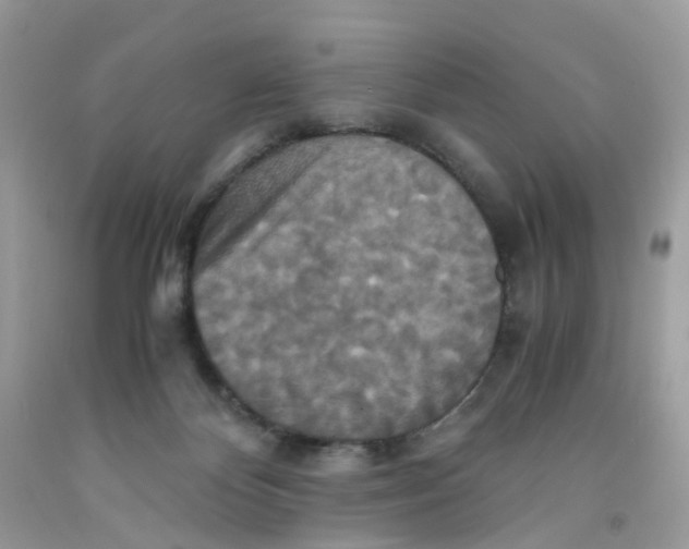 X0000091540124200709141503