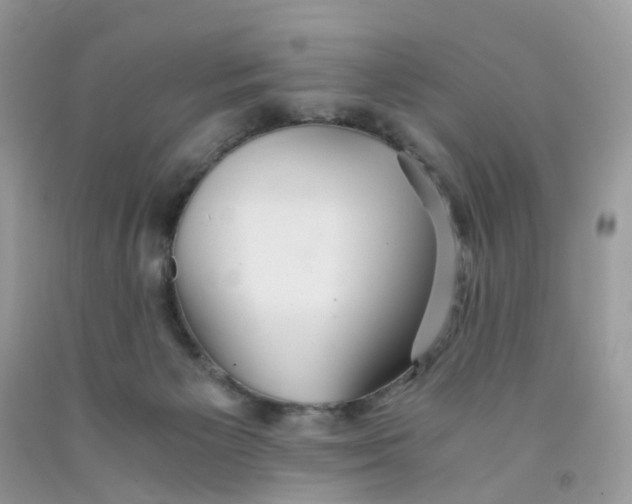 X0000091540125200709141503