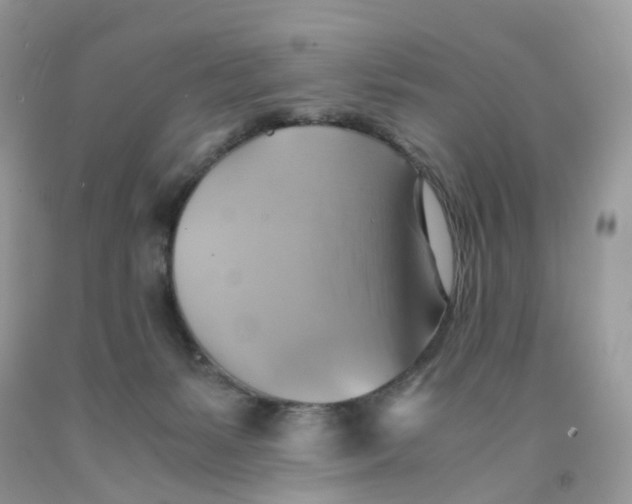 X0000091540127200709141503