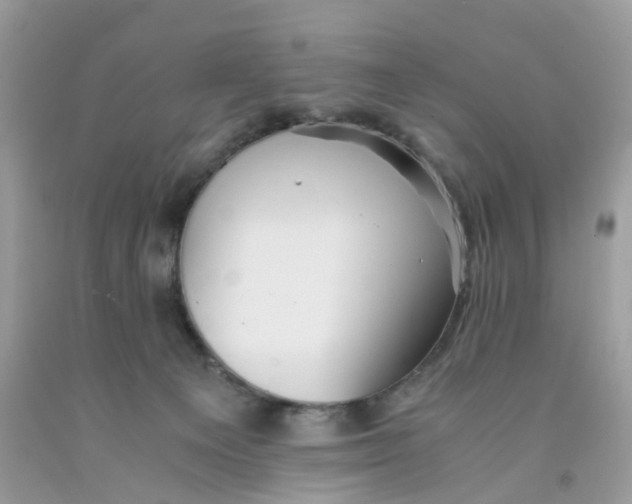 X0000091540129200709141503