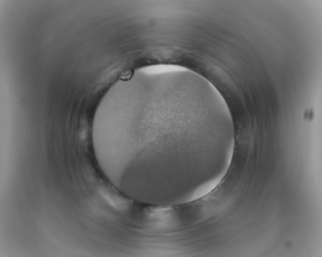 X0000091540132200709141503