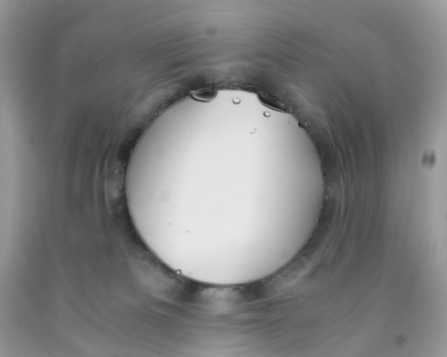 X0000091540133200709141503