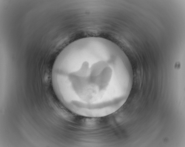 X0000091540134200709141503