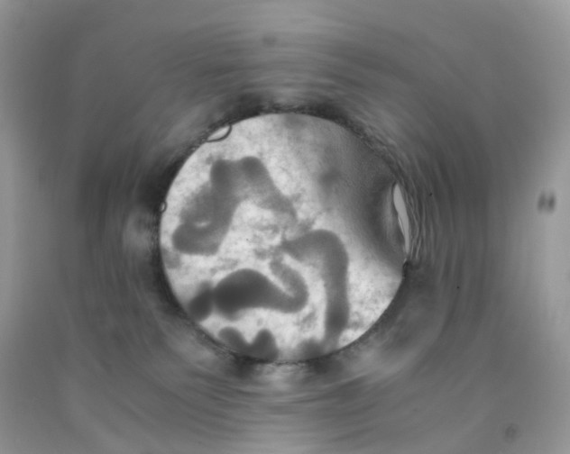 X0000091540135200709141503