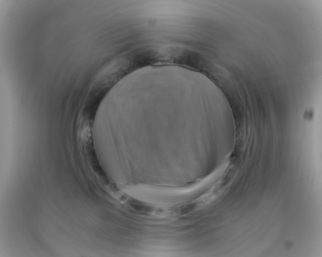 X0000091540137200709141503