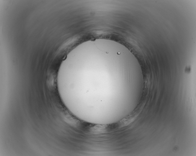 X0000091540138200709141503