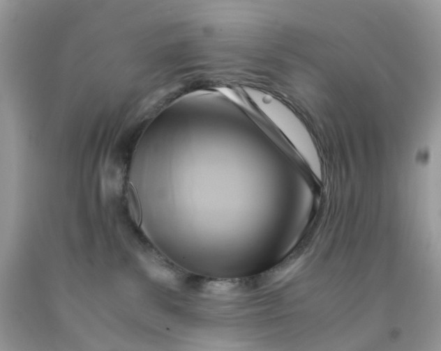 X0000091540139200709141503