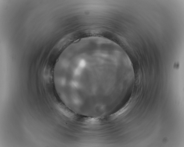 X0000091540140200709141503