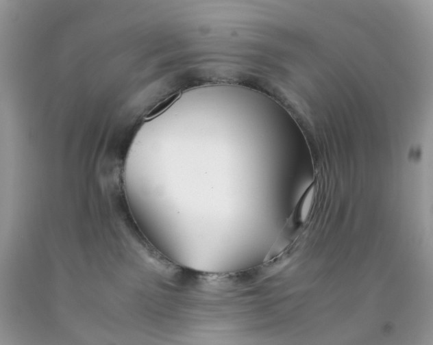 X0000091540141200709141503