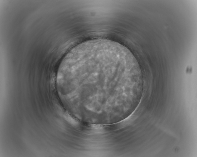 X0000091540144200709141503