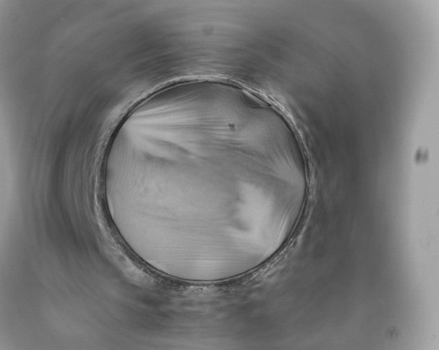 X0000091540145200709141502